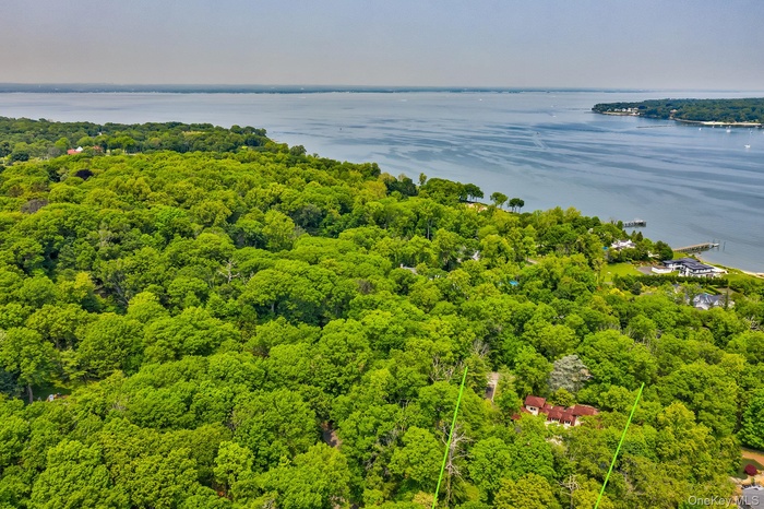 Bird's eye view featuring a forest view and a water view