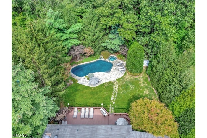 Drone backyard