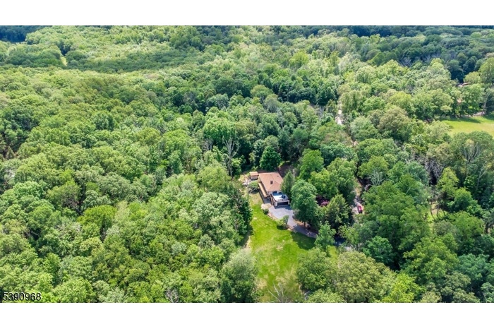 Drone Image from above