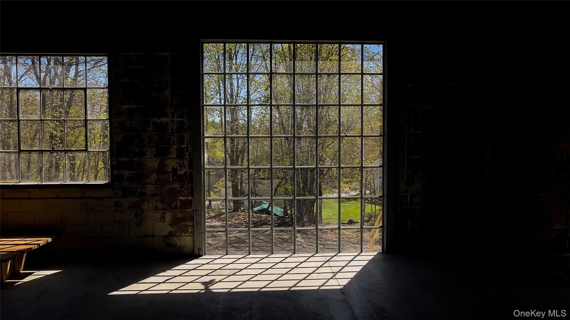 All new windows showing natural light