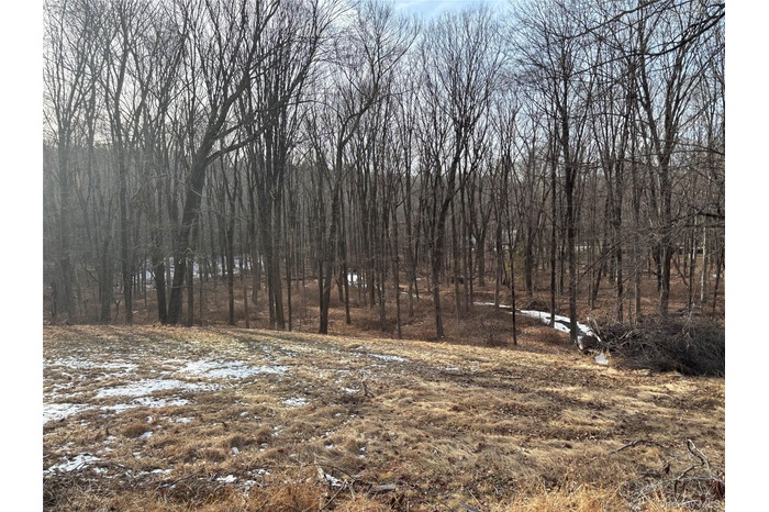 Back view of property facing the Mianus River Preserve