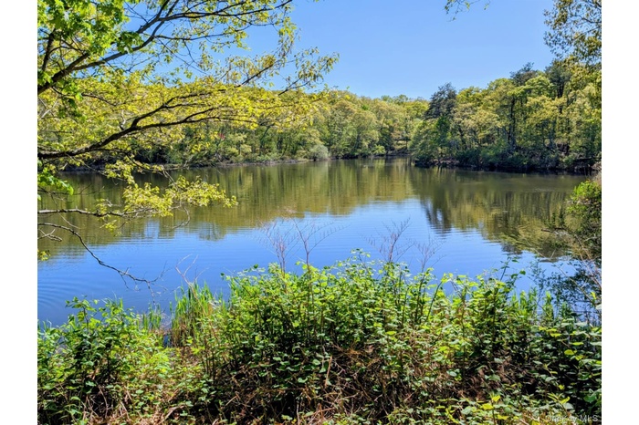 Water view of Lake Marion