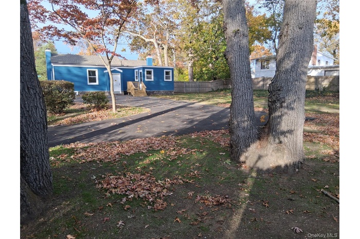 Updated photo lawn showing germination.