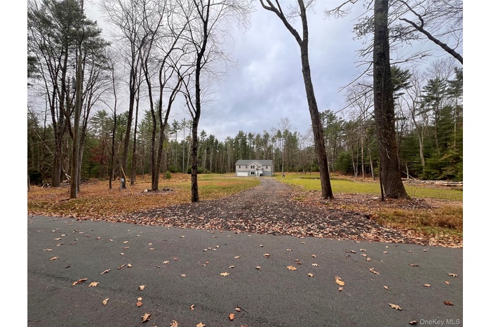 View of asphalt driveway featuring a wooded view