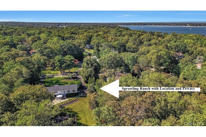 The Perfect Location