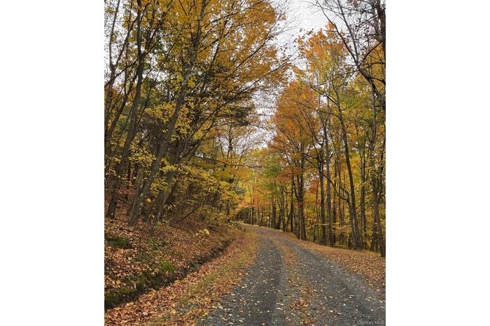 Welcome to 100 Knob Hill Rd! 10+ Private, Subdividable Acres