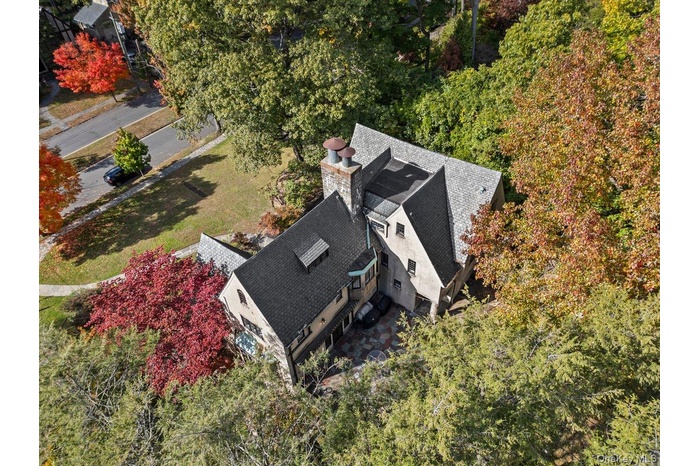 Drone / aerial view of a tree filled landscape