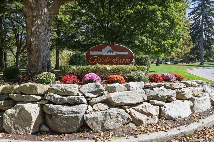 Welcome to Reed Farm!