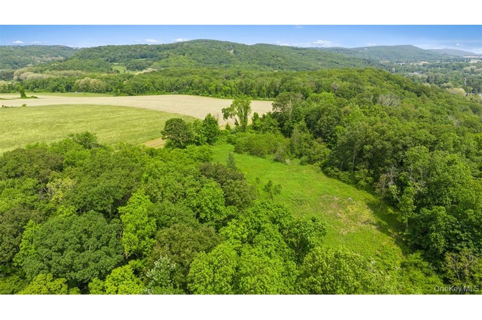 Drone / aerial view of a mountainous background