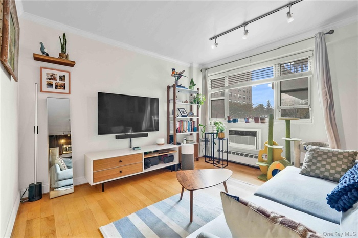 Living area featuring light wood-type flooring, ornamental molding, rail lighting, and a baseboard heating unit