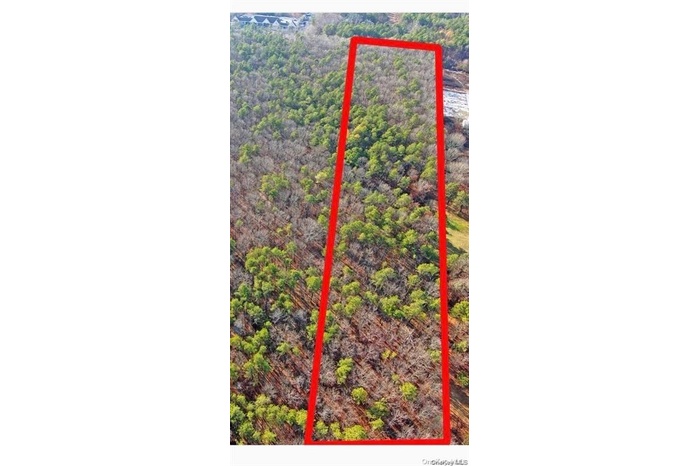 Exterior view of a forest