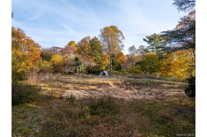 View of tree filled area