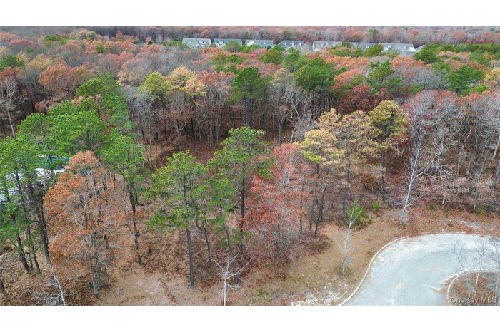 Aerial overview of property's location featuring a heavily wooded area