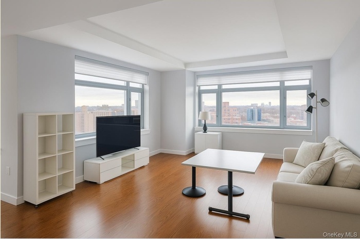 Living room with wood finished floors, a tray ceiling, and plenty of natural light