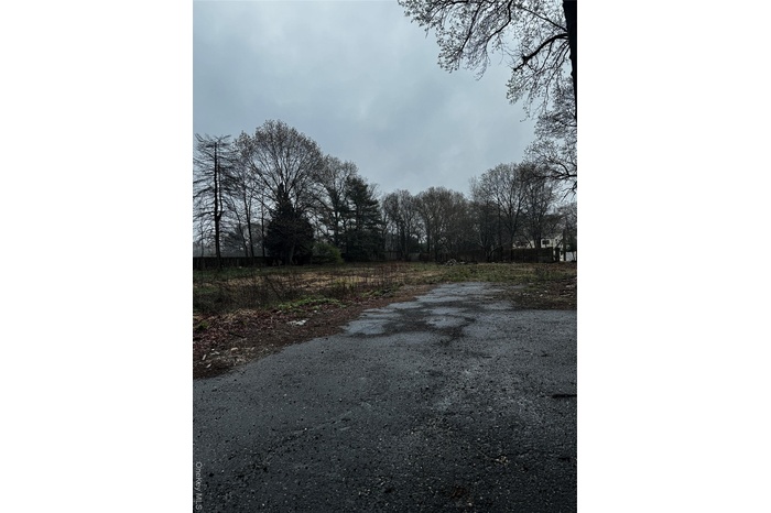 View of asphalt road featuring view of scattered trees