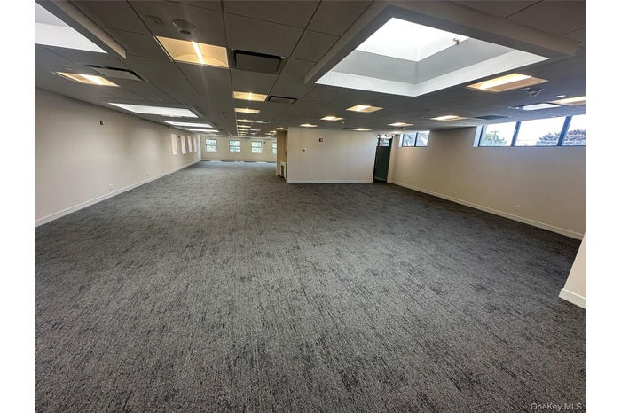 Carpeted spare room with plenty of natural light and a drop ceiling