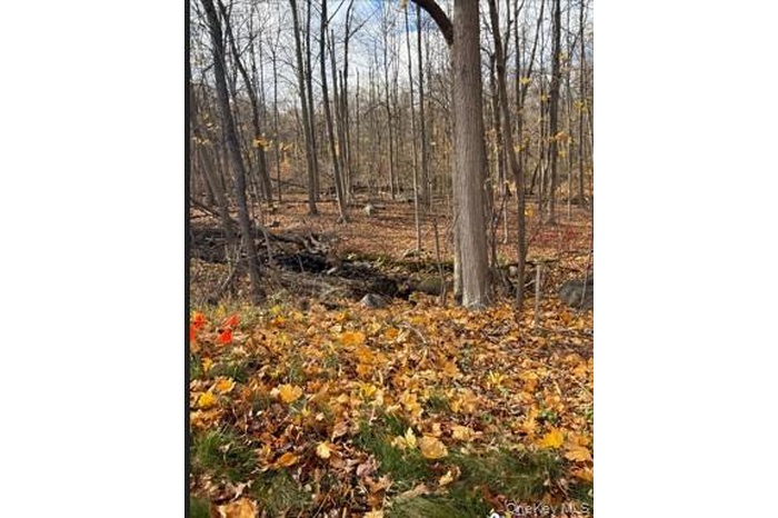 View of undeveloped land