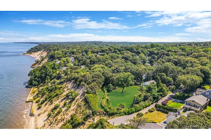 Aerial view of a nearby body of water and a forest