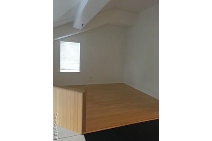 Bonus room with vaulted ceiling and radiator
