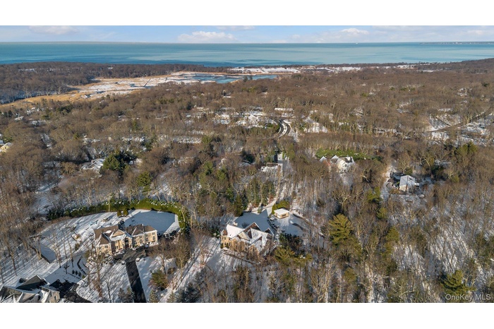 Aerial overview of property's location with a large body of water and a heavily wooded area