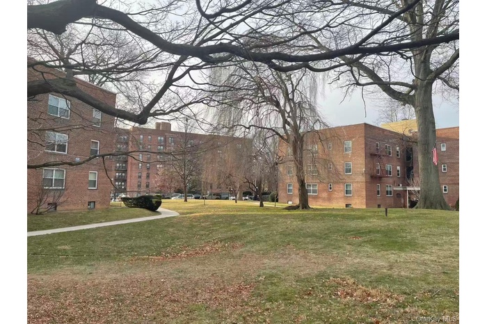 View of property's community featuring a yard