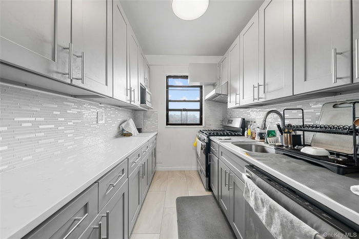 Kitchen featuring appliances with stainless steel finishes, gray cabinetry, under cabinet range hood, and tasteful backsplash