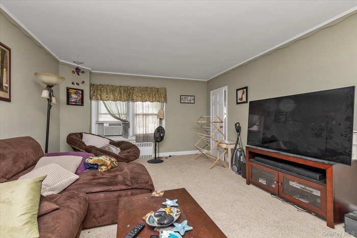Carpeted living area featuring radiator heating unit and crown molding