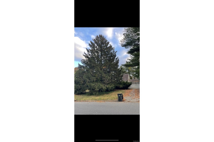 View of asphalt street with curbs