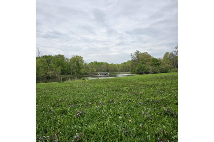 View of yard with a water view and a view of trees