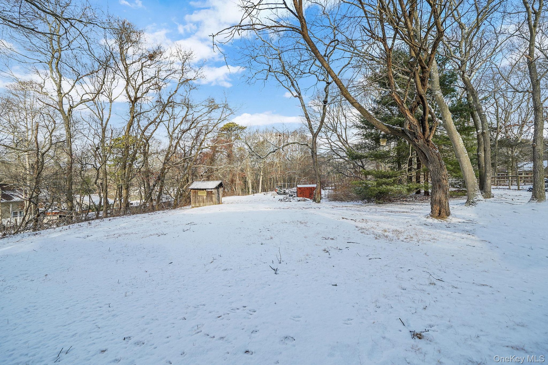 View of snowy yard