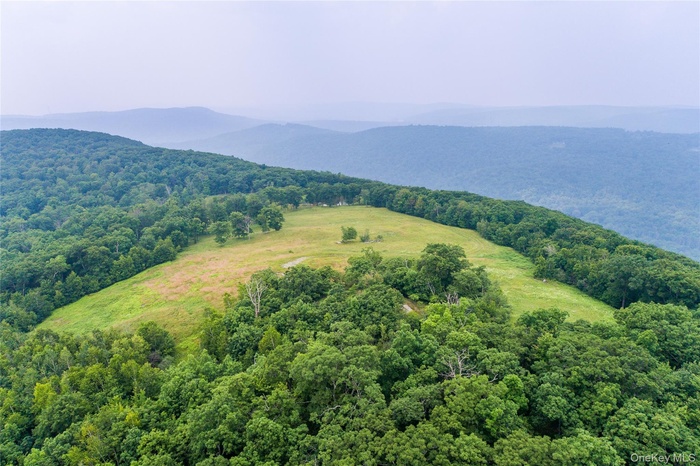 Bird's eye view of a mountainous background and a forest