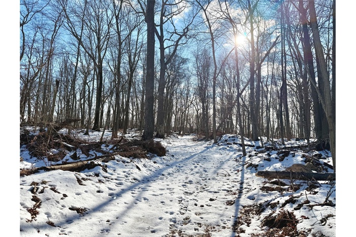 View of entrance into the Approved 7 Lot Subdivision