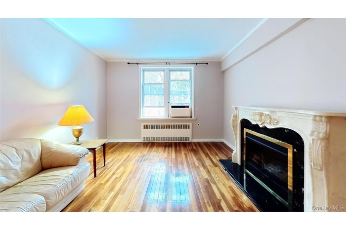 Living area with ornamental molding, radiator, hardwood / wood-style floors, and an electric fireplace (removeable).