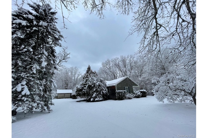 Expansive property with house, renovated cottage and 2 car garage