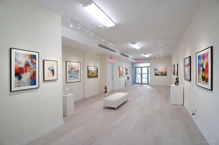 Hall with light wood finished floors and rail lighting