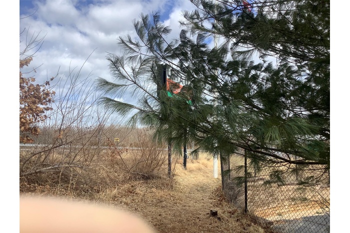 View of undeveloped land