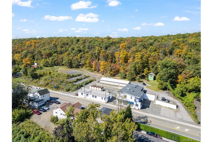 Aerial view of a forest