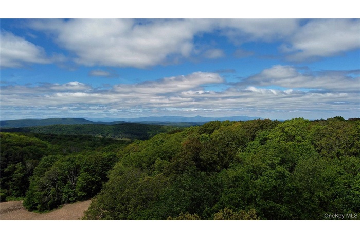 Mountain view featuring a heavily wooded area