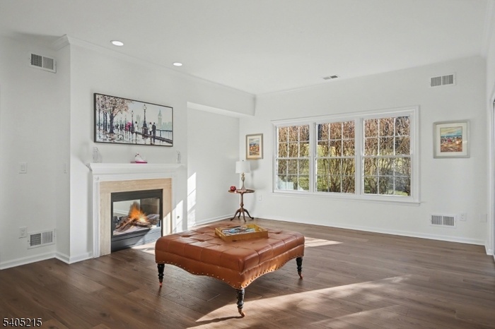 LR-DUAL GAS FIREPLACE