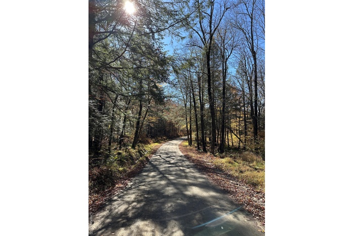 View of street featuring a wooded view