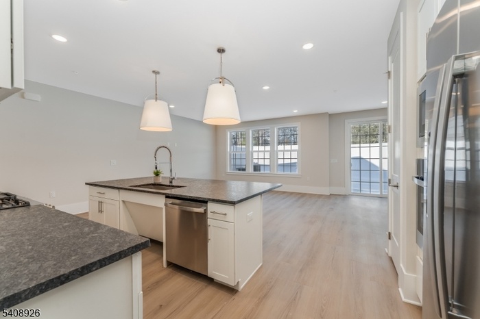 Open Luxury Kitchen & Living