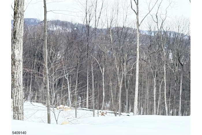 Build your dream home here!