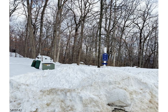 Build your dream home!