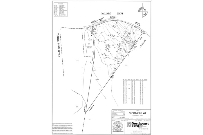 Survey map / technical document