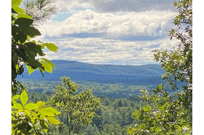 Mountain view featuring a forest