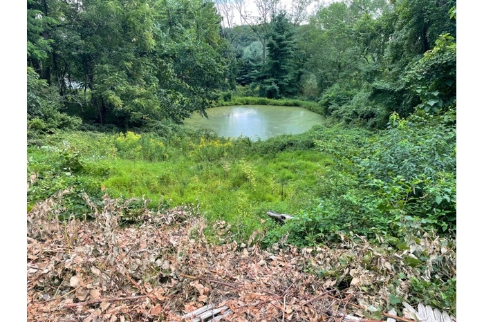 Pond approx. 115' from Street