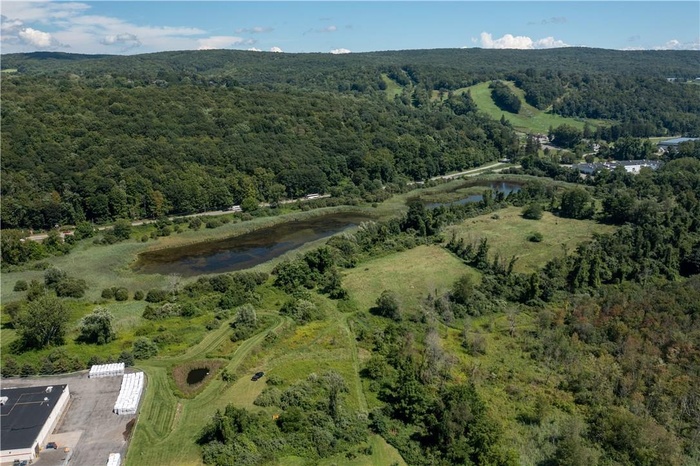 Don't miss this unique commercial opportunity on Route 22. 40.72 commercially zoned acres in one parcel with 10.35 +/- usable acres.