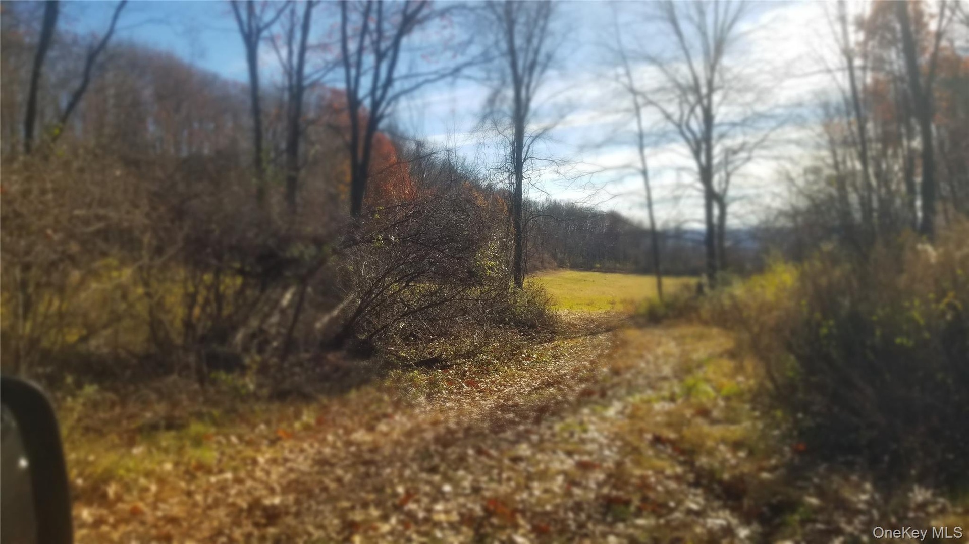 View of nature featuring a forest view