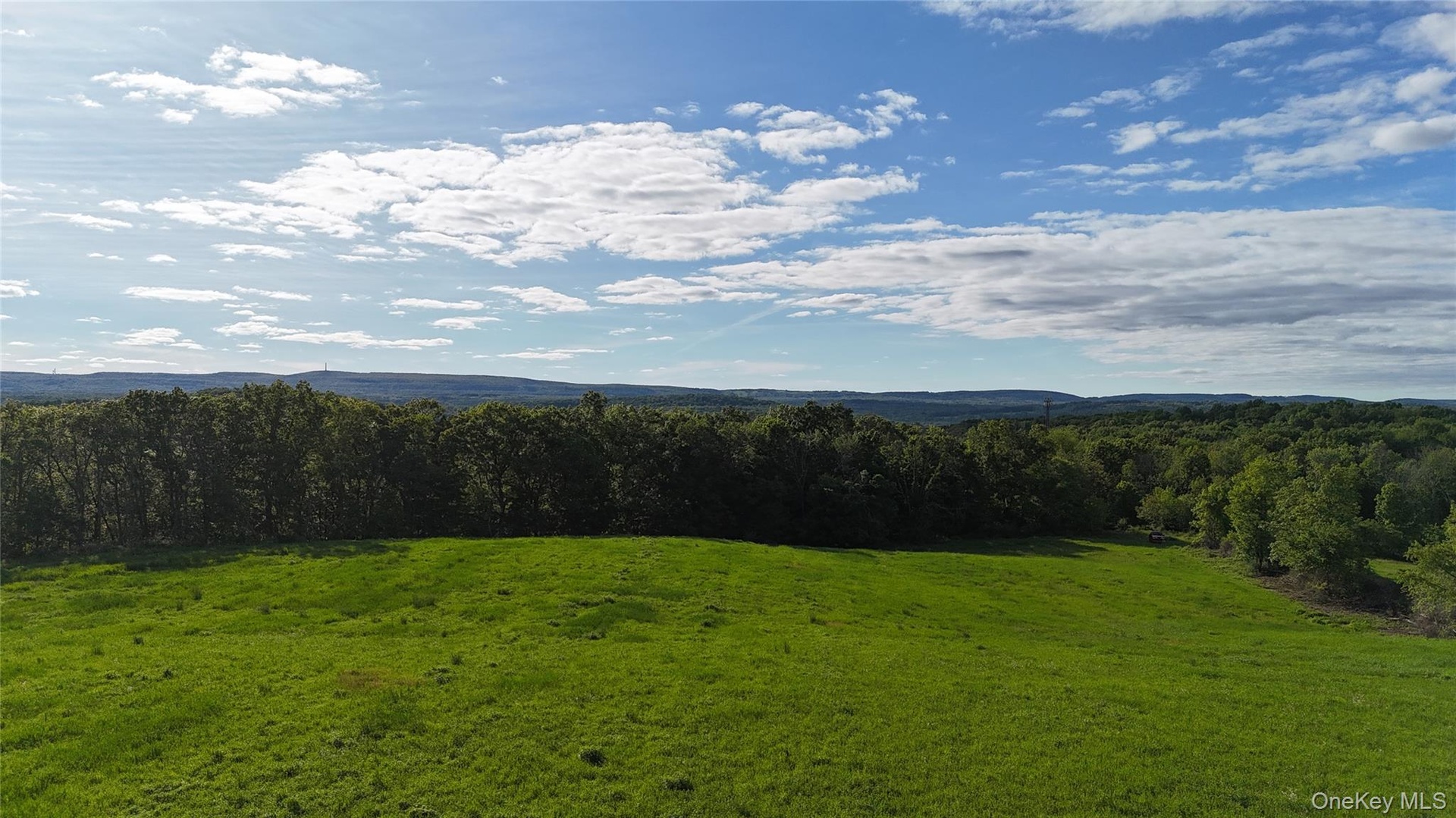 Mountain view with a heavily wooded area