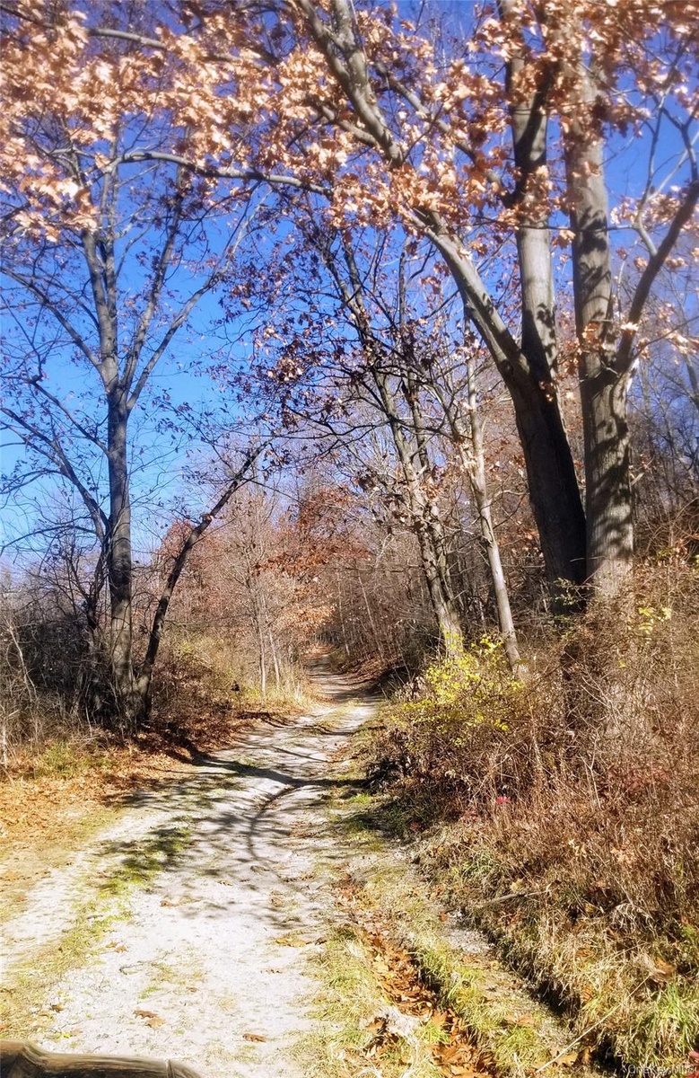 View of road